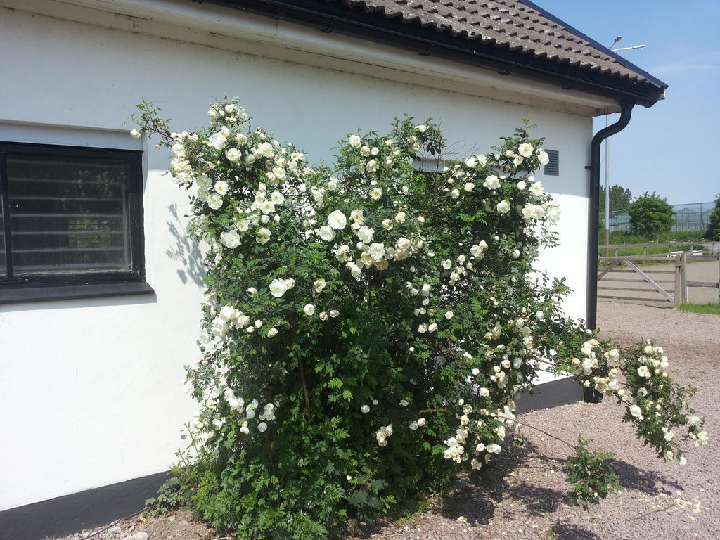 Laegenhet Lillisgarden Guest House Vallåkra Exterior foto